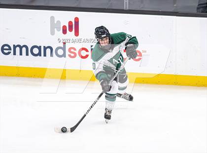 Thumbnail 1 in Arlington vs Austin Prep (MIAA Divison 1 State Final) photogallery.