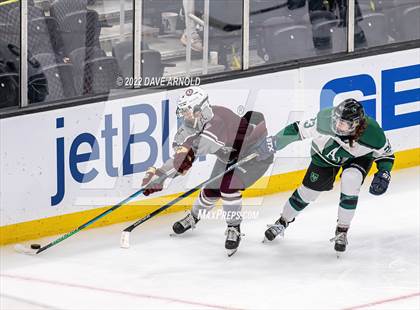 Thumbnail 1 in Arlington vs Austin Prep (MIAA Divison 1 State Final) photogallery.