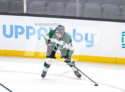 Thumbnail 1 in Arlington vs Austin Prep (MIAA Divison 1 State Final) photogallery.