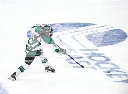 Thumbnail 3 in Arlington vs Austin Prep (MIAA Divison 1 State Final) photogallery.