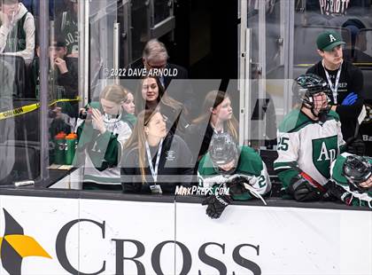 Thumbnail 1 in Arlington vs Austin Prep (MIAA Divison 1 State Final) photogallery.