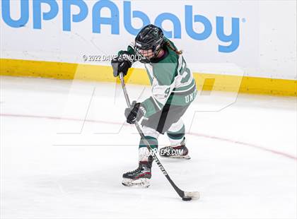 Thumbnail 3 in Arlington vs Austin Prep (MIAA Divison 1 State Final) photogallery.