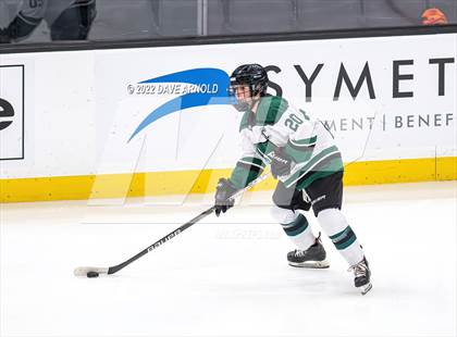 Thumbnail 2 in Arlington vs Austin Prep (MIAA Divison 1 State Final) photogallery.