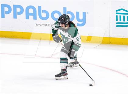 Thumbnail 1 in Arlington vs Austin Prep (MIAA Divison 1 State Final) photogallery.