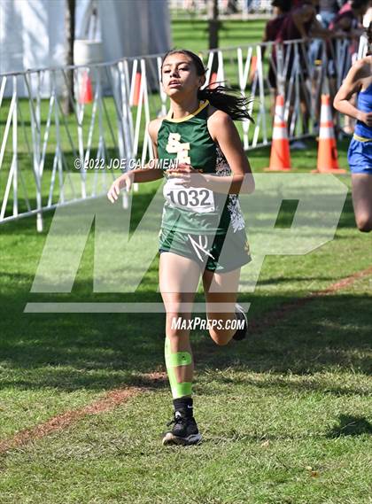 Thumbnail 1 in UIL Cross Country 1A Finals (2 Mile) photogallery.
