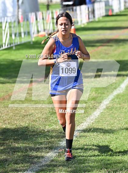 Thumbnail 1 in UIL Cross Country 1A Finals (2 Mile) photogallery.