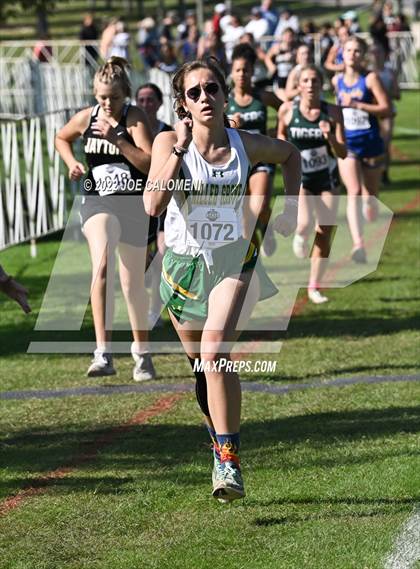 Thumbnail 1 in UIL Cross Country 1A Finals (2 Mile) photogallery.