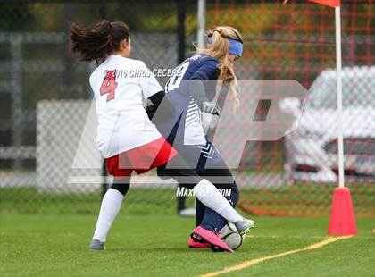 Thumbnail 1 in Webster Thomas @ Penfield (Section 5 Class AA Quarterfinal) photogallery.