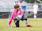 Photo from the gallery "Carrboro @ East Chapel Hill"