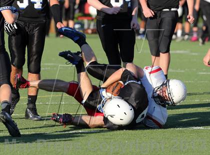 Thumbnail 1 in Boyd Red vs Shepton photogallery.