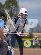 Photo from the gallery "Marion @ Arlington"