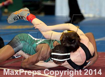 Thumbnail 3 in NYSPHSAA Championships (Division 1 Quarterfinals) photogallery.