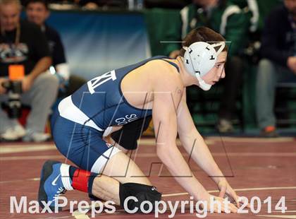 Thumbnail 2 in NYSPHSAA Championships (Division 1 Quarterfinals) photogallery.