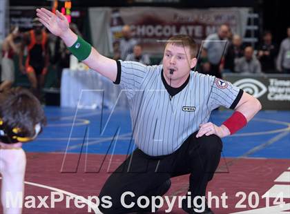 Thumbnail 2 in NYSPHSAA Championships (Division 1 Quarterfinals) photogallery.