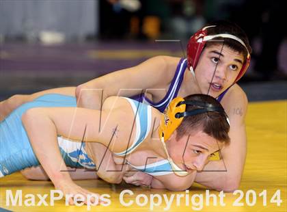 Thumbnail 1 in NYSPHSAA Championships (Division 1 Quarterfinals) photogallery.