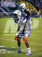 Photo from the gallery "Foley @ Baker"
