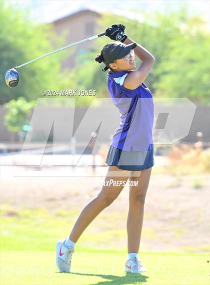 Thumbnail 1 in AIA Division I Championship photogallery.