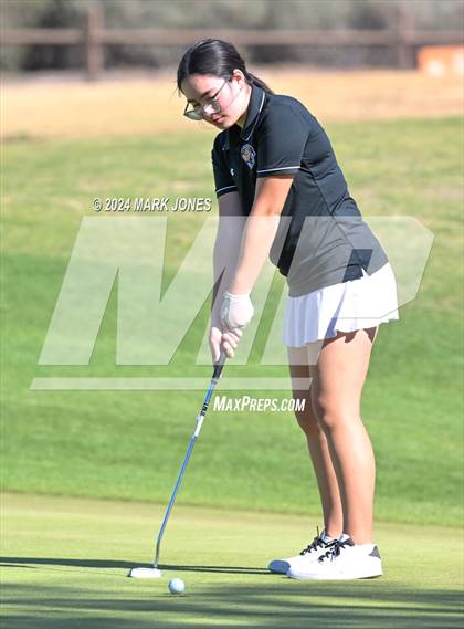Thumbnail 1 in AIA Division I Championship photogallery.