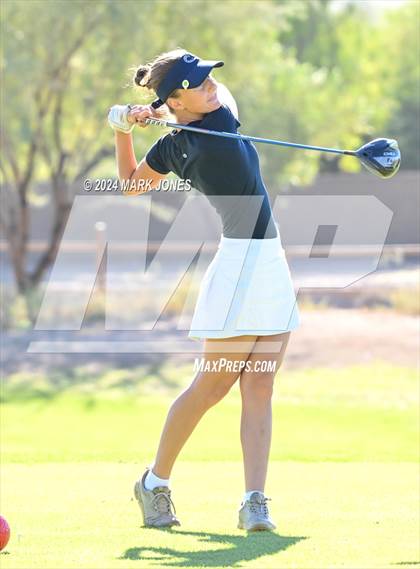Thumbnail 1 in AIA Division I Championship photogallery.