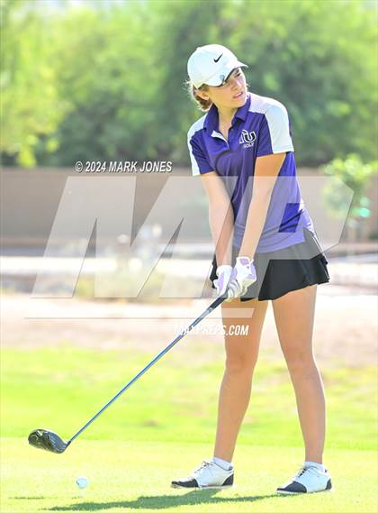 Thumbnail 3 in AIA Division I Championship photogallery.