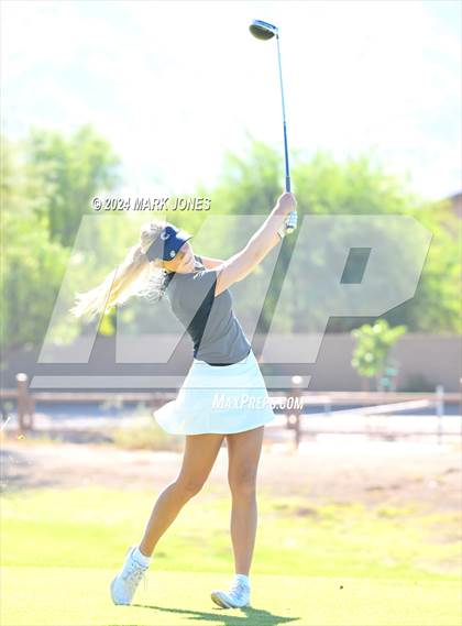 Thumbnail 1 in AIA Division I Championship photogallery.