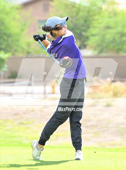 Thumbnail 1 in AIA Division I Championship photogallery.