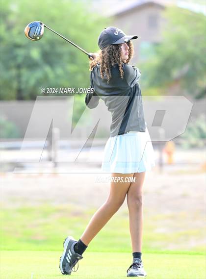 Thumbnail 3 in AIA Division I Championship photogallery.