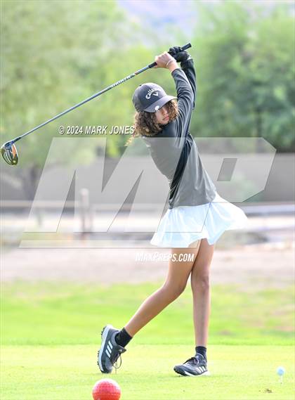 Thumbnail 1 in AIA Division I Championship photogallery.