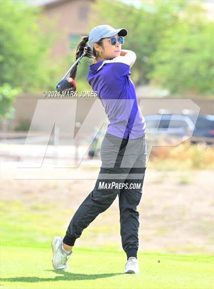 Thumbnail 3 in AIA Division I Championship photogallery.