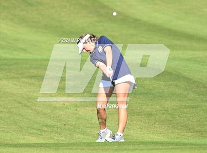 Thumbnail 3 in AIA Division I Championship photogallery.