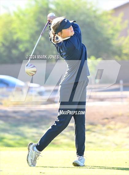 Thumbnail 3 in AIA Division I Championship photogallery.