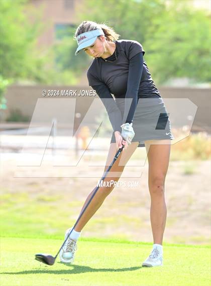 Thumbnail 1 in AIA Division I Championship photogallery.