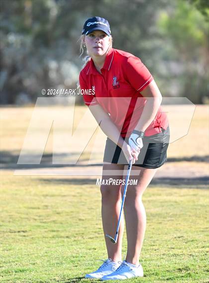 Thumbnail 1 in AIA Division I Championship photogallery.
