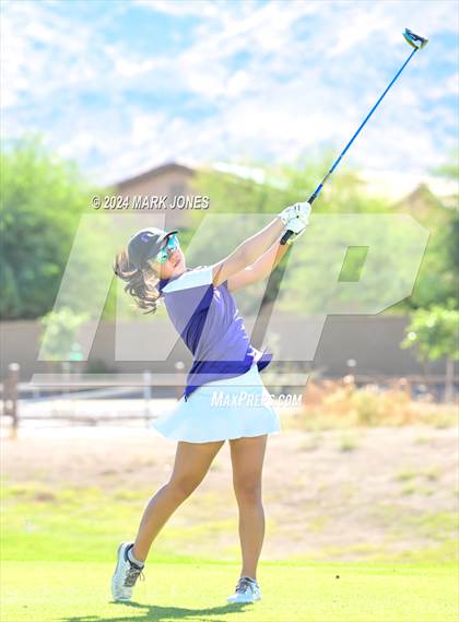 Thumbnail 3 in AIA Division I Championship photogallery.