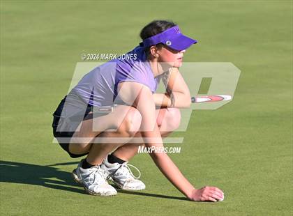 Thumbnail 2 in AIA Division I Championship photogallery.