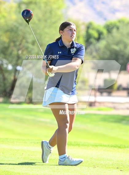 Thumbnail 1 in AIA Division I Championship photogallery.
