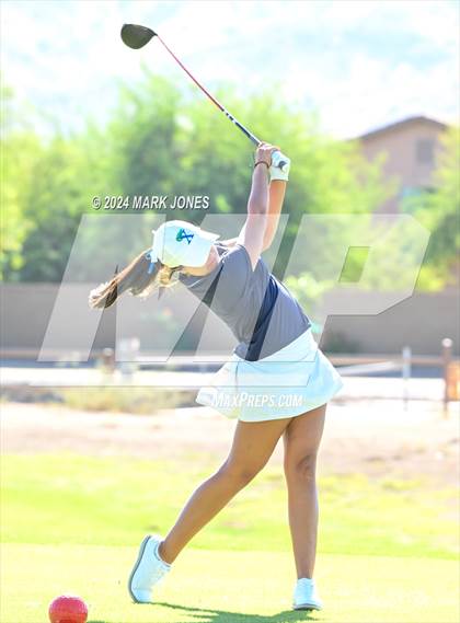 Thumbnail 2 in AIA Division I Championship photogallery.