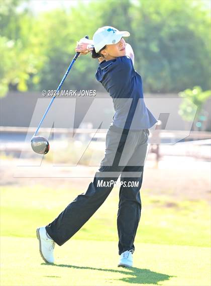 Thumbnail 1 in AIA Division I Championship photogallery.