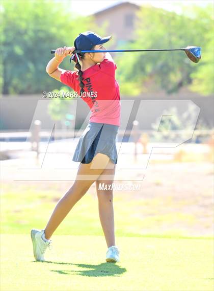 Thumbnail 1 in AIA Division I Championship photogallery.