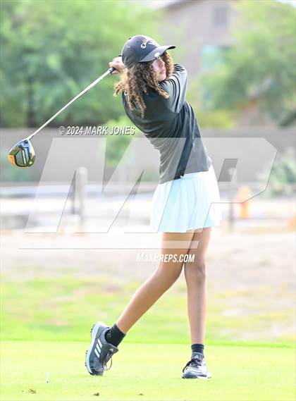 Thumbnail 1 in AIA Division I Championship photogallery.