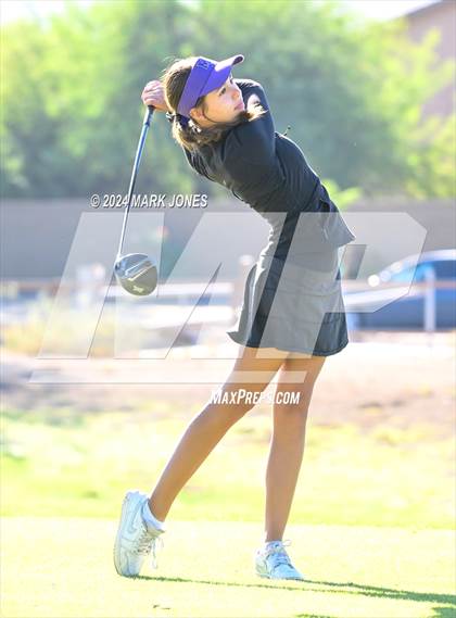 Thumbnail 3 in AIA Division I Championship photogallery.