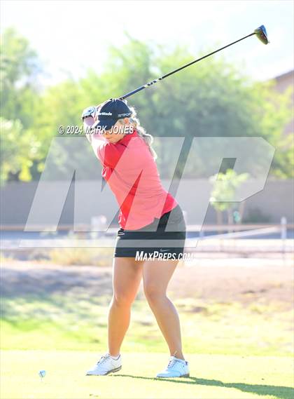 Thumbnail 1 in AIA Division I Championship photogallery.