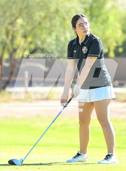 Thumbnail 3 in AIA Division I Championship photogallery.