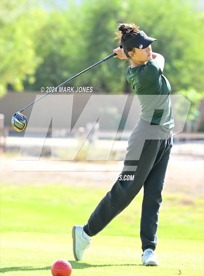 Thumbnail 1 in AIA Division I Championship photogallery.