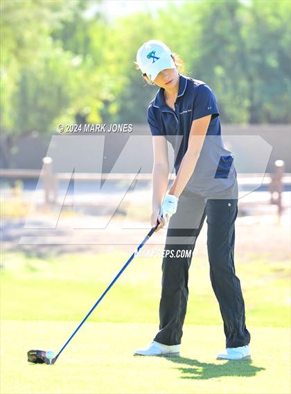 Thumbnail 1 in AIA Division I Championship photogallery.