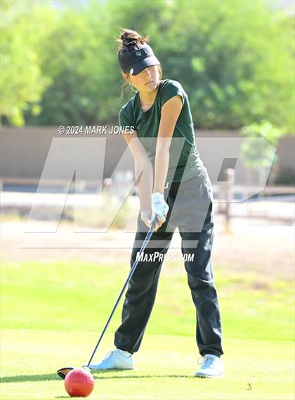 Thumbnail 1 in AIA Division I Championship photogallery.
