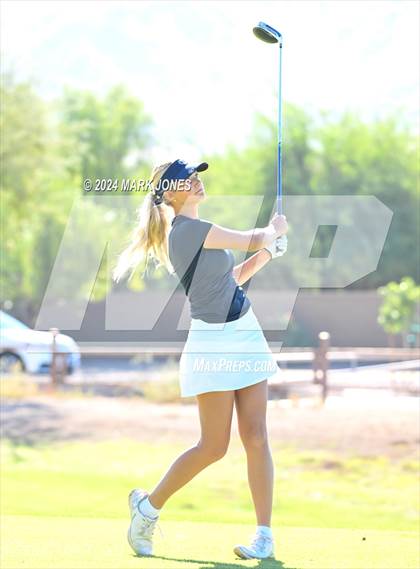 Thumbnail 2 in AIA Division I Championship photogallery.