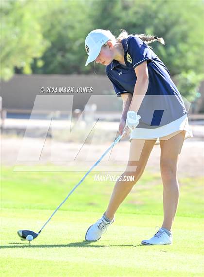 Thumbnail 2 in AIA Division I Championship photogallery.