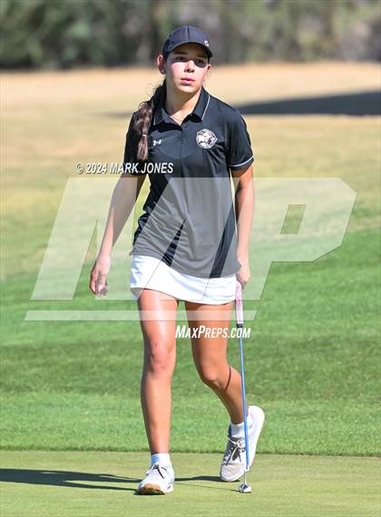 Thumbnail 1 in AIA Division I Championship photogallery.