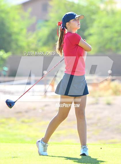 Thumbnail 1 in AIA Division I Championship photogallery.